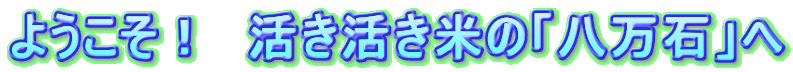 悤I@Ắu΁v
